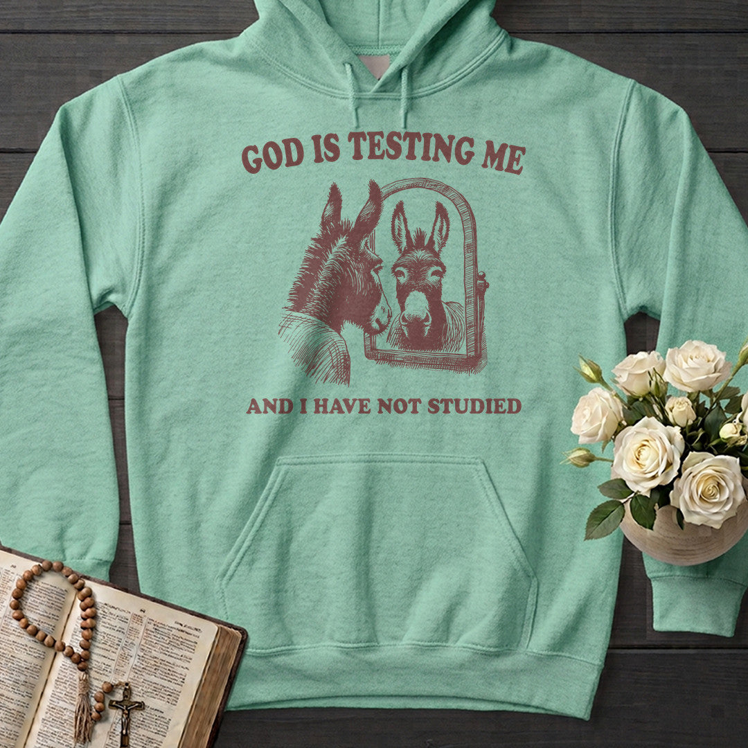 God Is Testing Me And I Have Not Studied 01