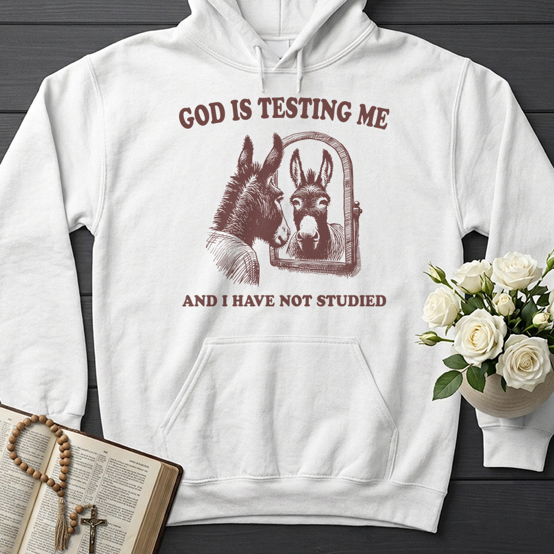 God Is Testing Me And I Have Not Studied 01