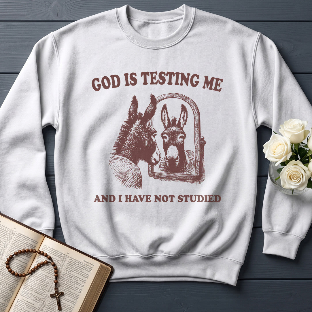 God Is Testing Me And I Have Not Studied 01