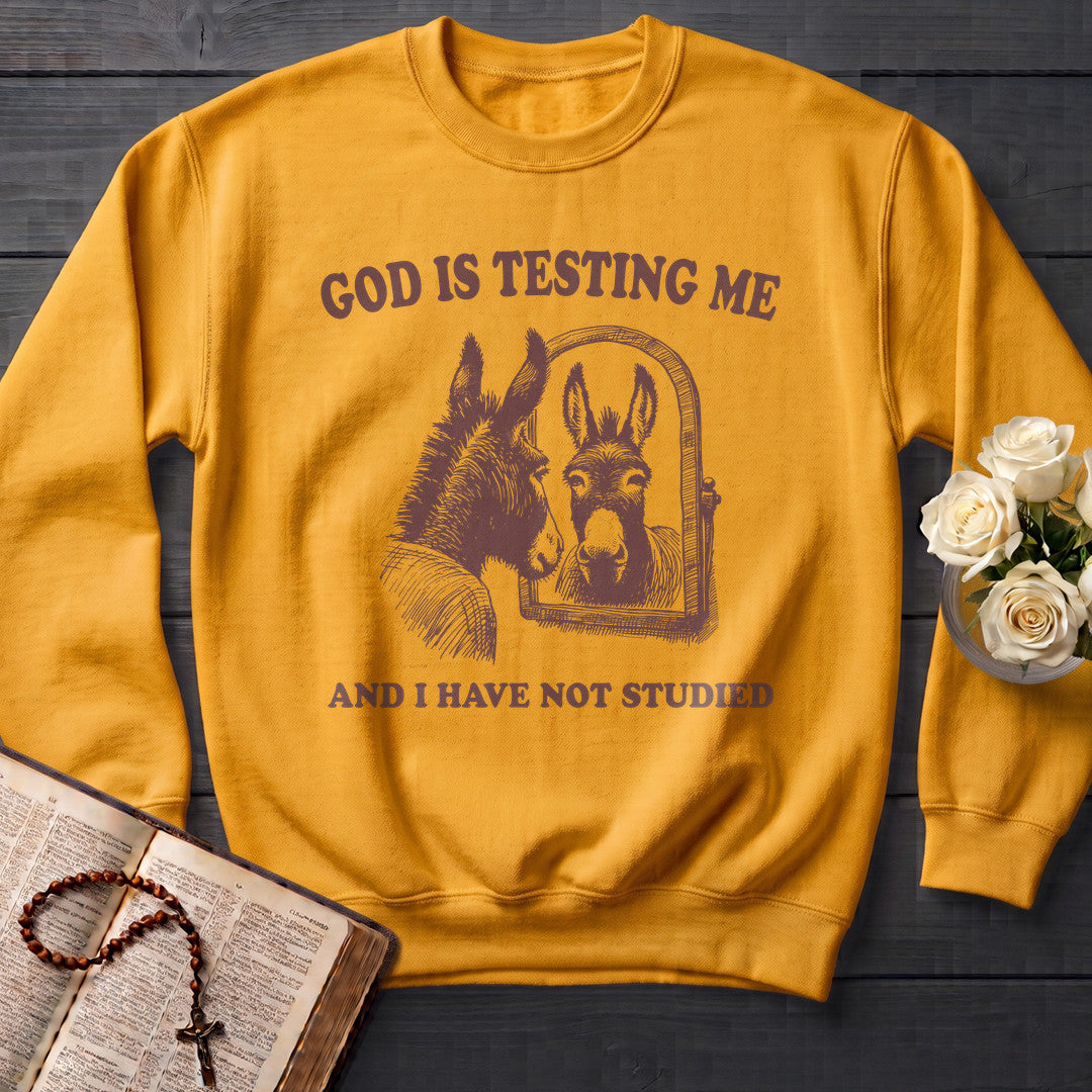 God Is Testing Me And I Have Not Studied 01