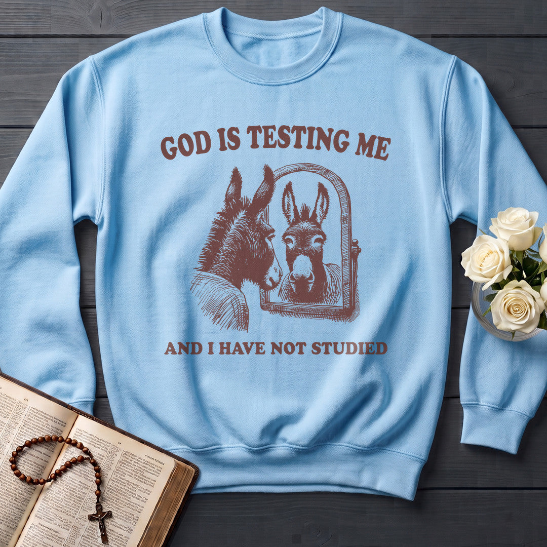 God Is Testing Me And I Have Not Studied 01