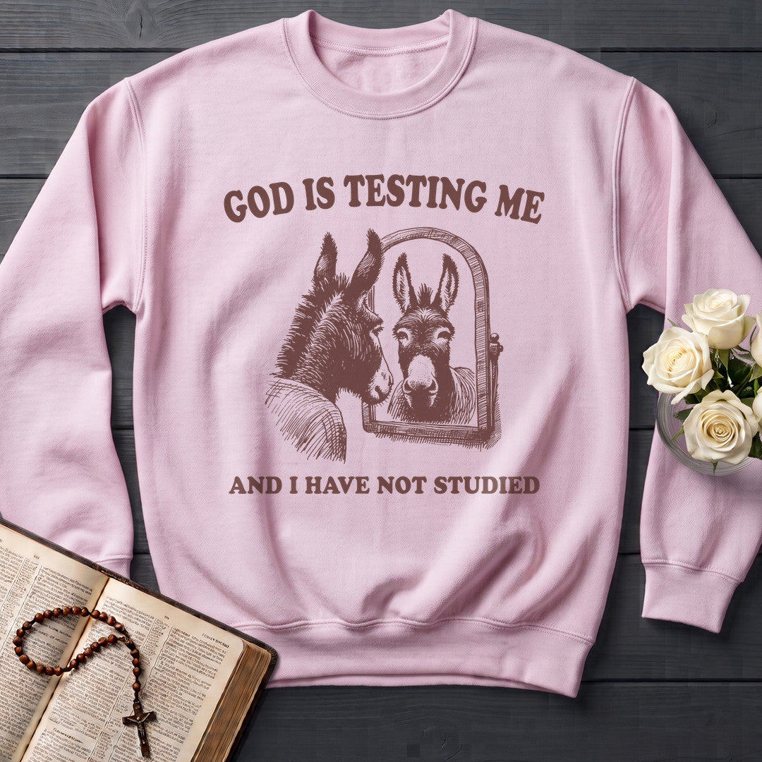 God Is Testing Me And I Have Not Studied 01