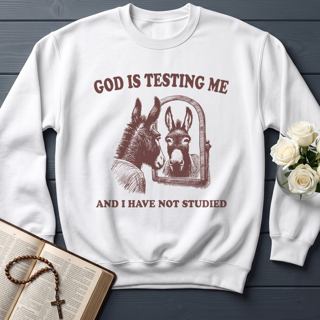 God Is Testing Me And I Have Not Studied 01