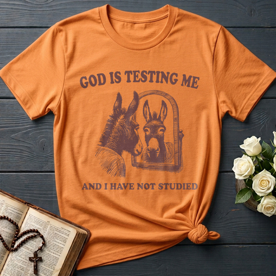 God Is Testing Me And I Have Not Studied 01
