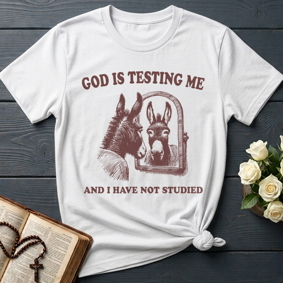 God Is Testing Me And I Have Not Studied 01