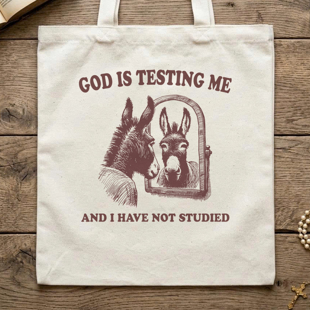 God Is Testing Me And I Have Not Studied 01