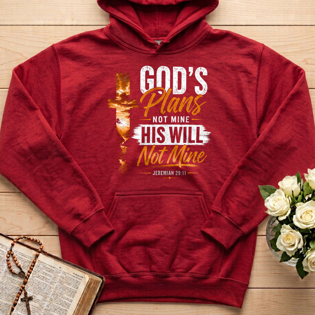 God's Plans Not Mine His Will Not Mine Jeremiah 29.11 01