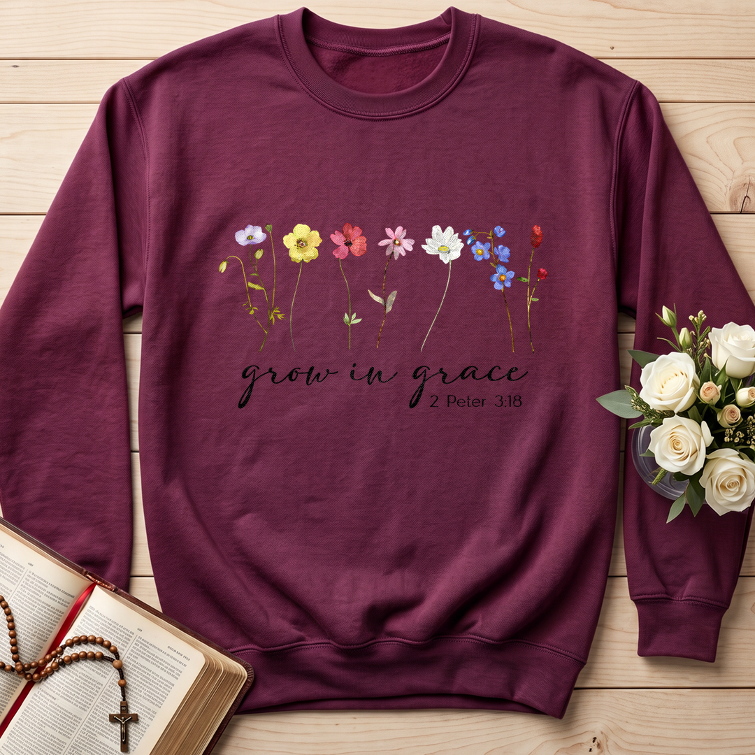 Grow In Grace 2 Peter 3.18 06