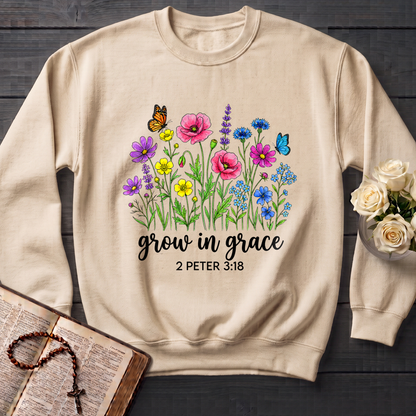 Grow In Grace 2 Peter 3.18 07
