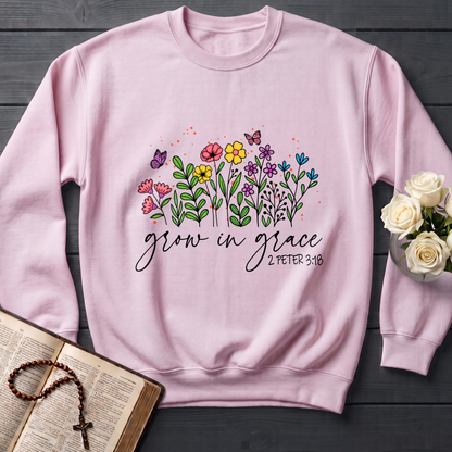Grow In Grace 2 Peter 3.18 11
