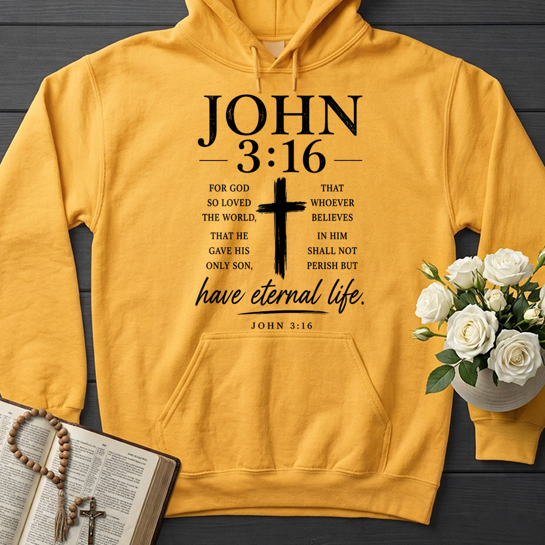 Have Eternal Life John 3.16 01