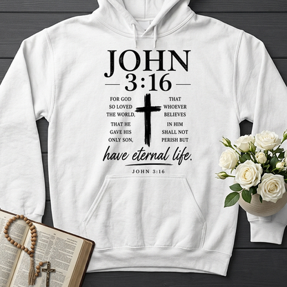 Have Eternal Life John 3.16 01