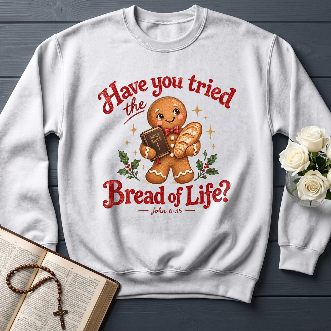 Have You Tried The Holy Bible Bread Of Life John 6.35 01