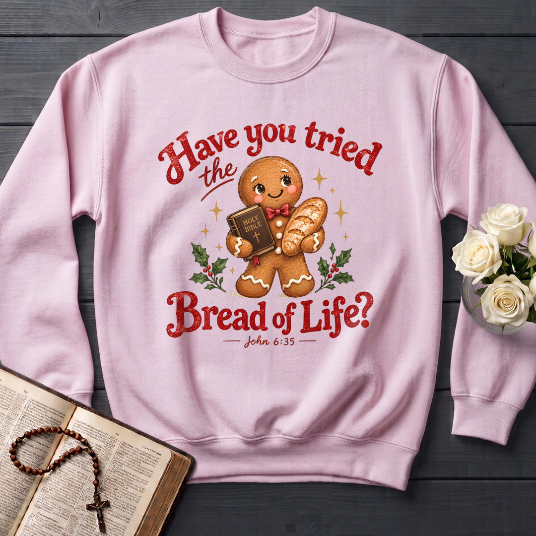 Have You Tried The Holy Bible Bread Of Life John 6.35 01