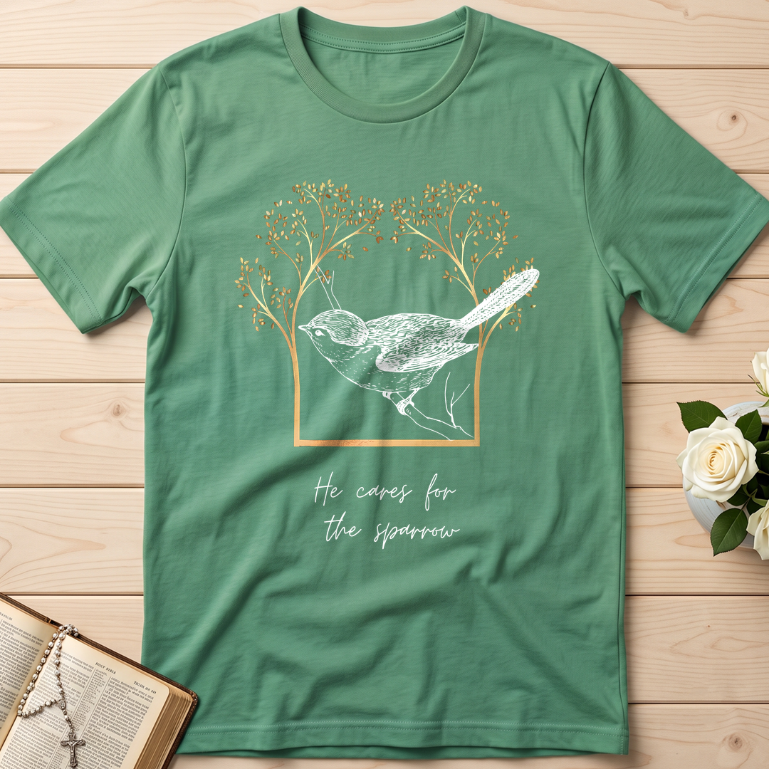 He Cares For The Sparrow 01