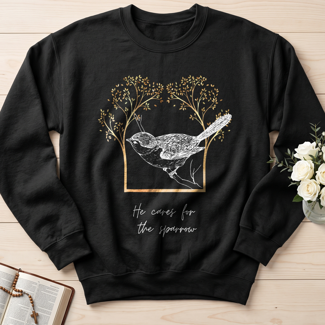 He Cares For The Sparrow 01
