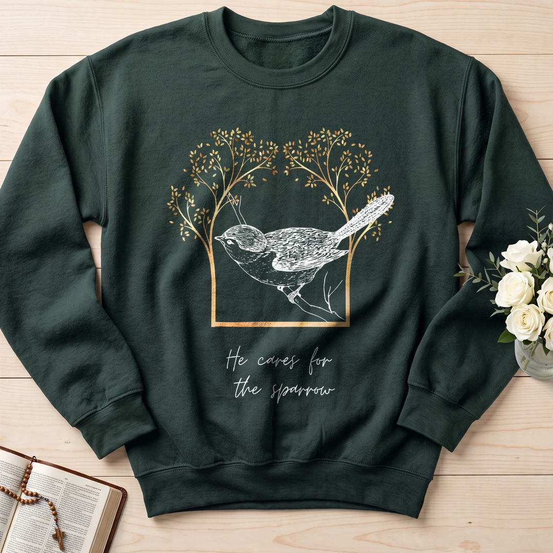 He Cares For The Sparrow 01