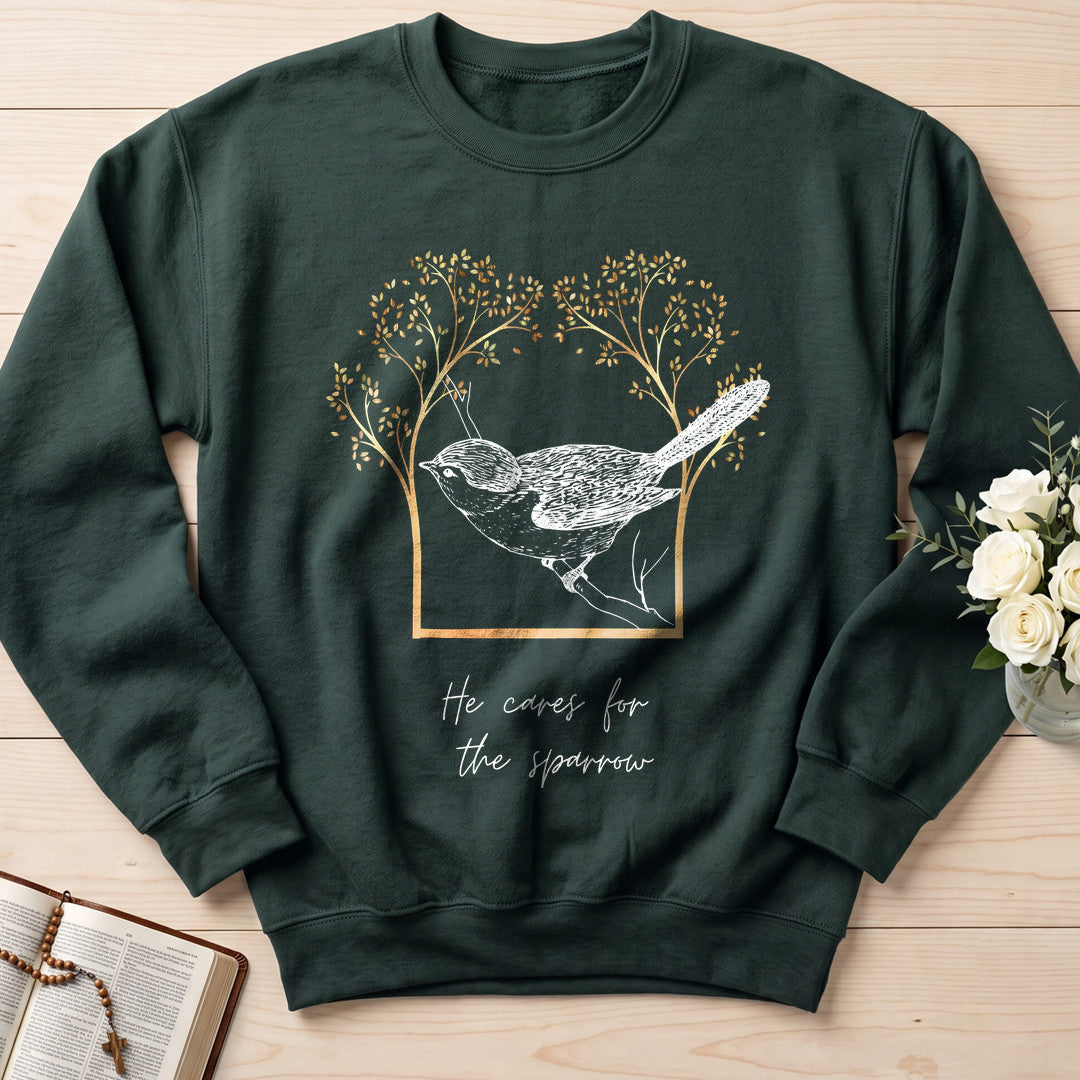 He Cares For The Sparrow 01