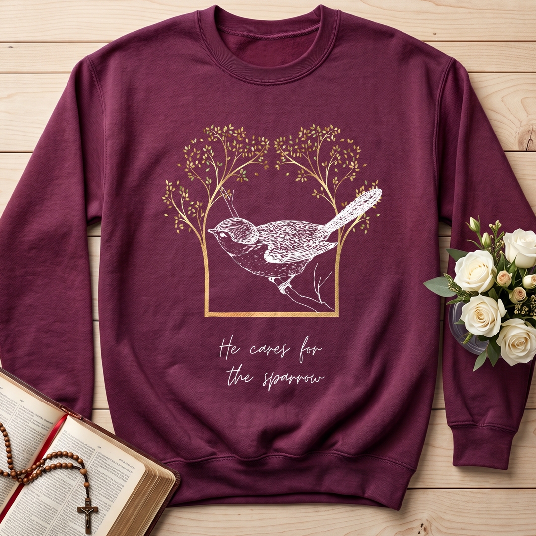 He Cares For The Sparrow 01