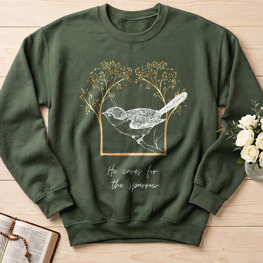 He Cares For The Sparrow 01