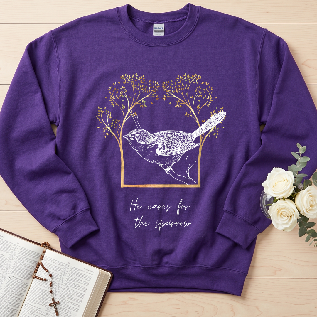 He Cares For The Sparrow 01