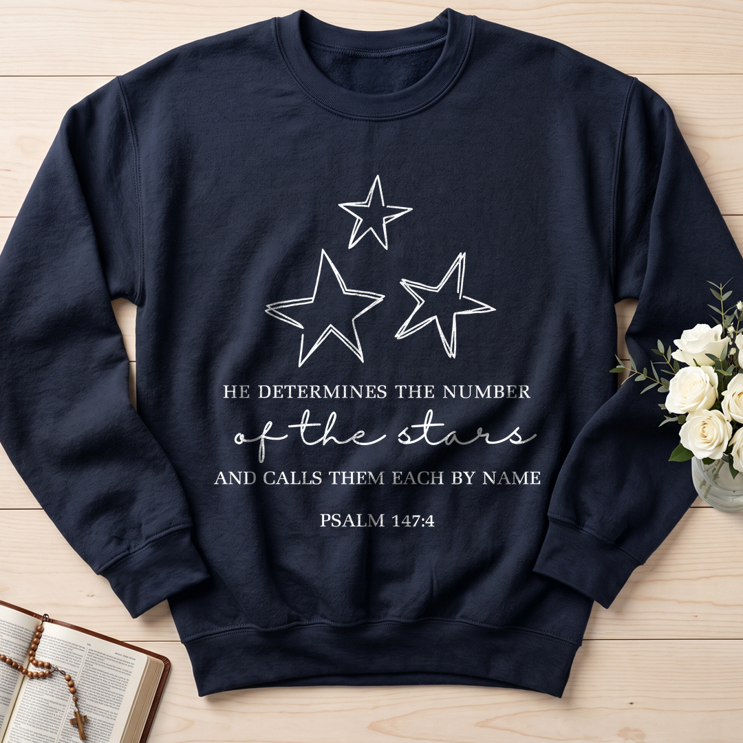 He Determines The Number Of The Stars And Calls Them Each By Name Psalm 147.4 01
