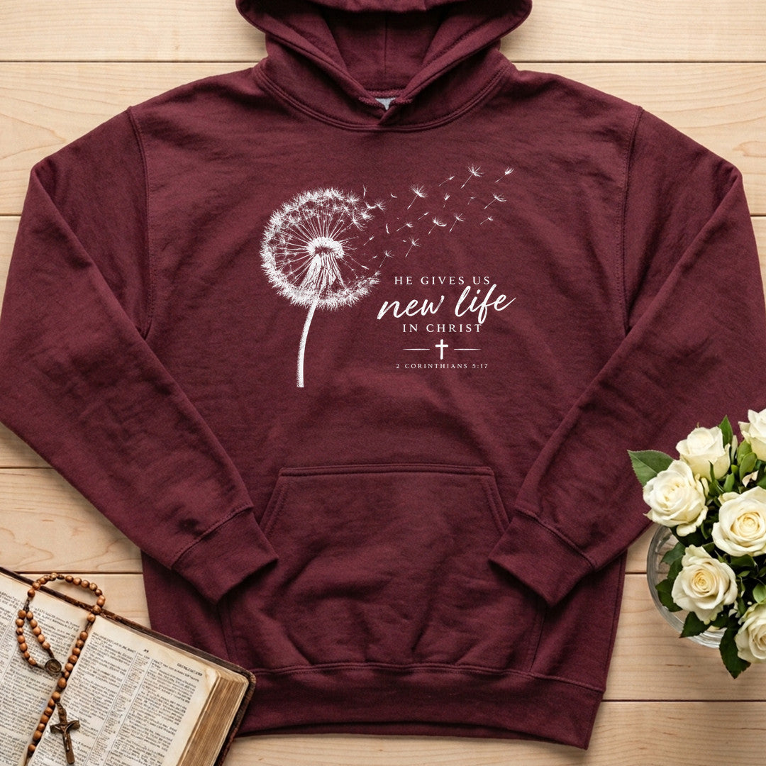 He Gives Us New Life In Christ 2 Corinthians 5.17 01