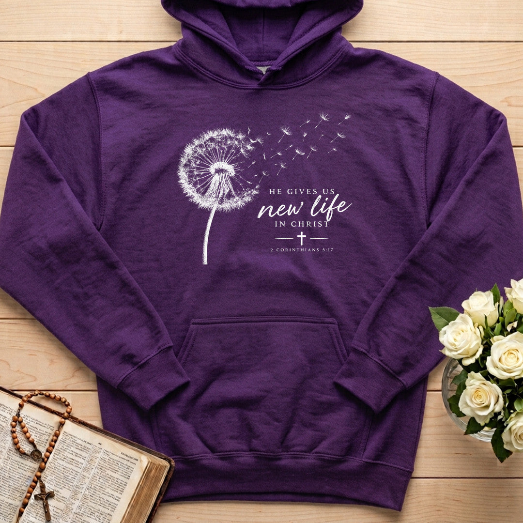He Gives Us New Life In Christ 2 Corinthians 5.17 01