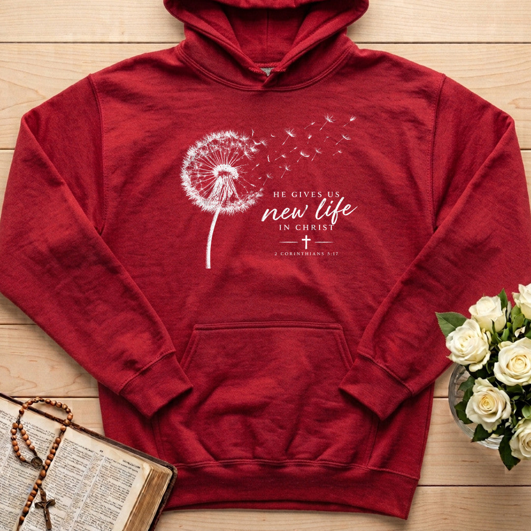 He Gives Us New Life In Christ 2 Corinthians 5.17 01