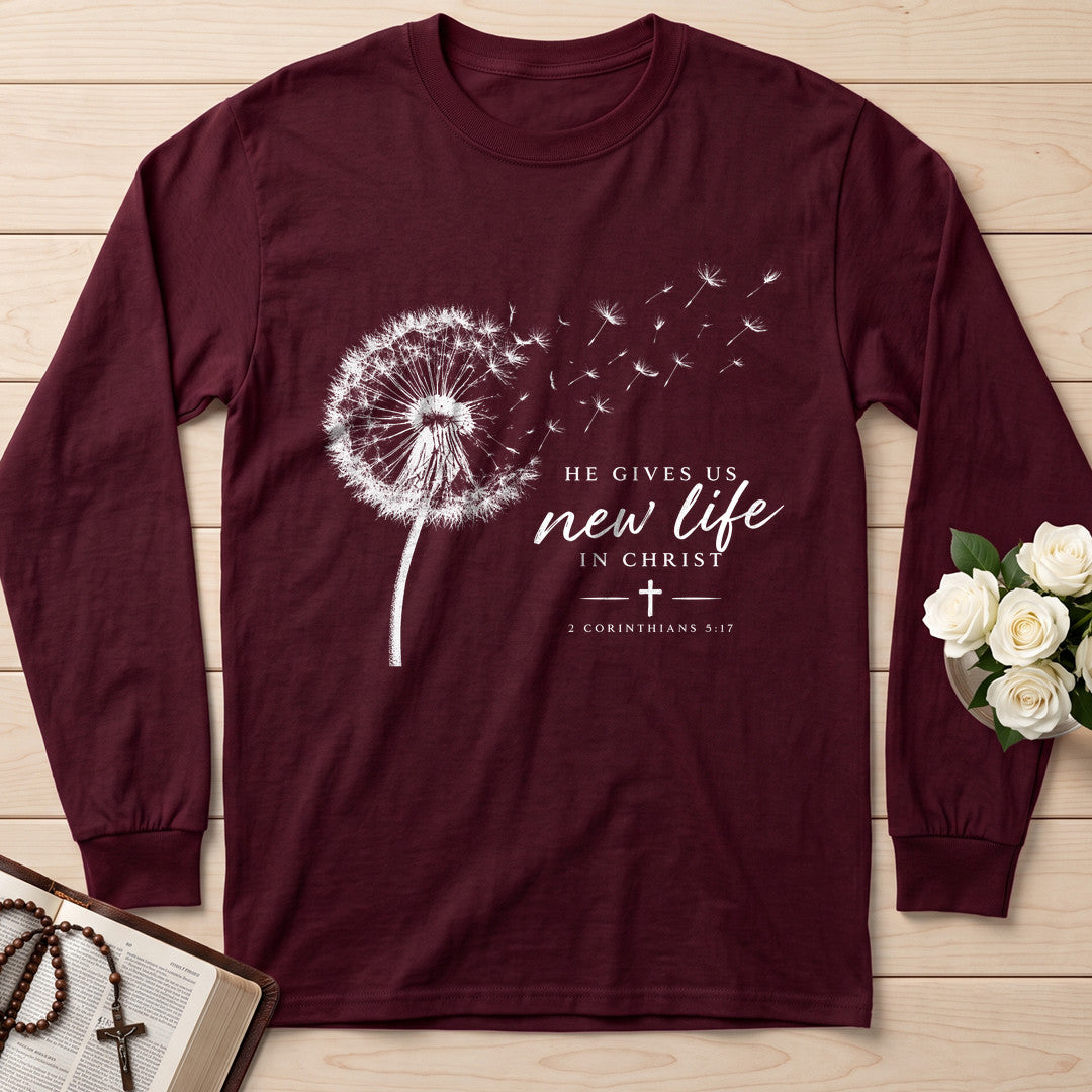 He Gives Us New Life In Christ 2 Corinthians 5.17 01