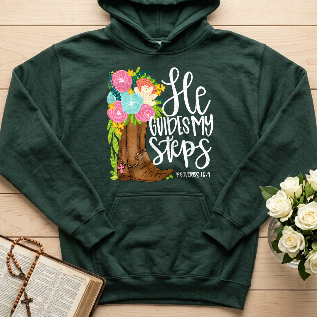 He Guides My Steps Proverbs 16.9 01