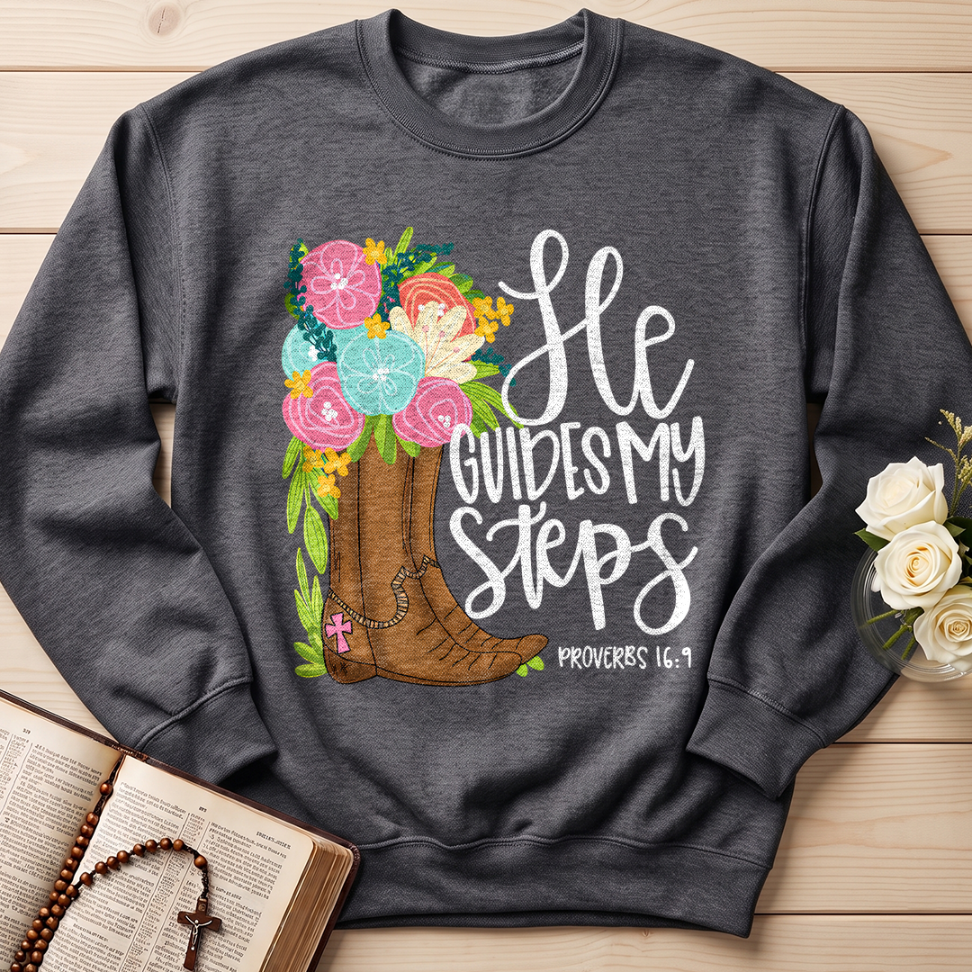 He Guides My Steps Proverbs 16.9 01