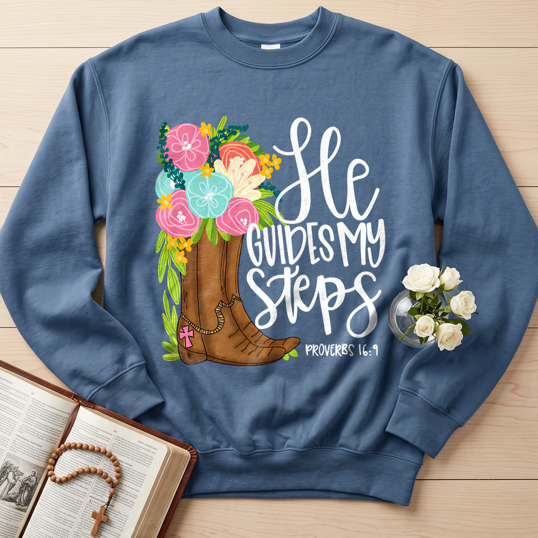 He Guides My Steps Proverbs 16.9 01