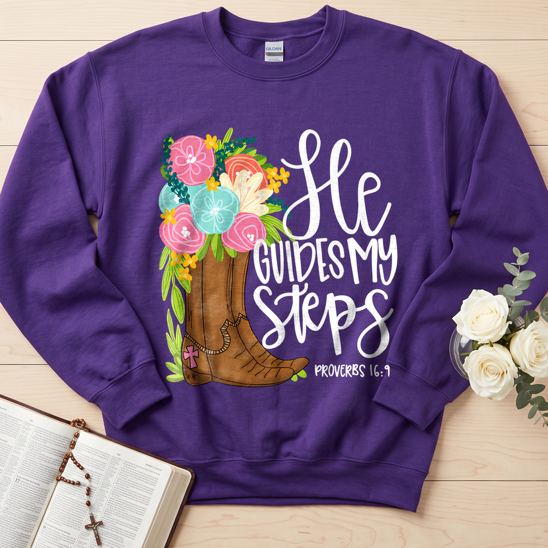 He Guides My Steps Proverbs 16.9 01