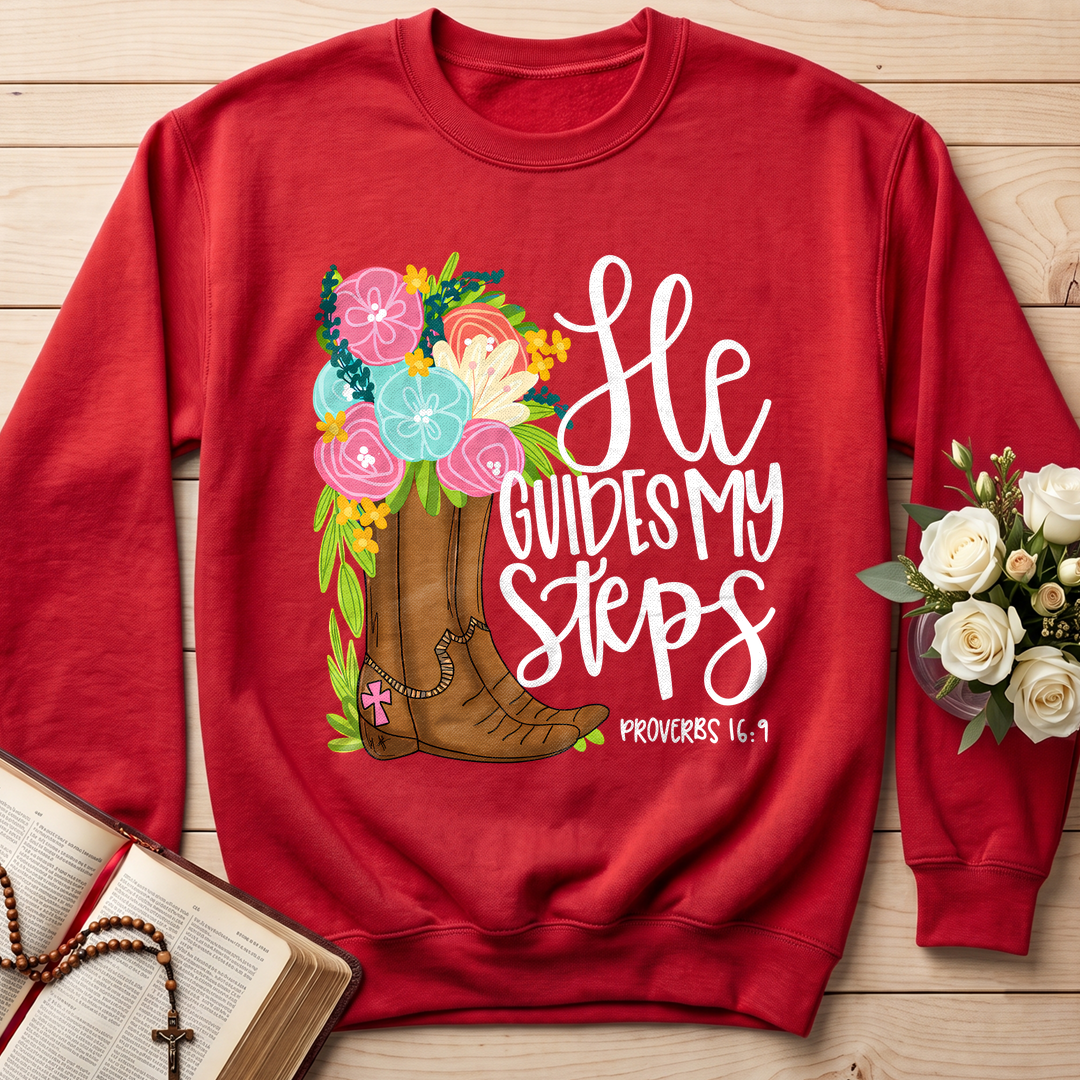 He Guides My Steps Proverbs 16.9 01