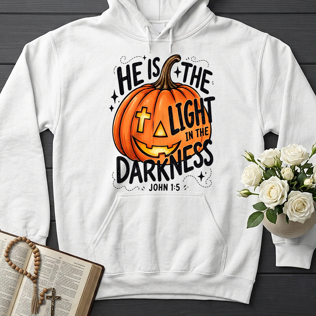 He Is The Light In The Darkness John 1.5 01