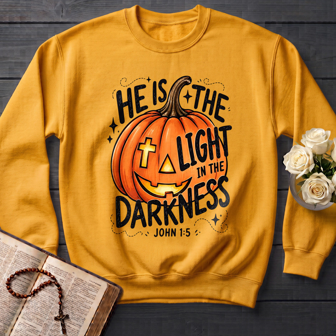 He Is The Light In The Darkness John 1.5 01