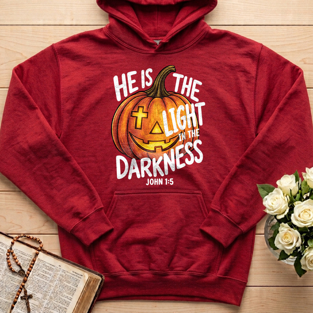 He Is The Light In The Darkness John 1.5 02