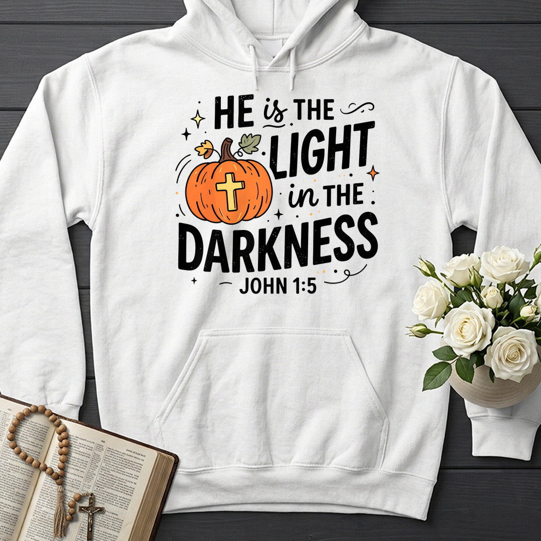 He Is The Light In The Darkness John 1.5 08