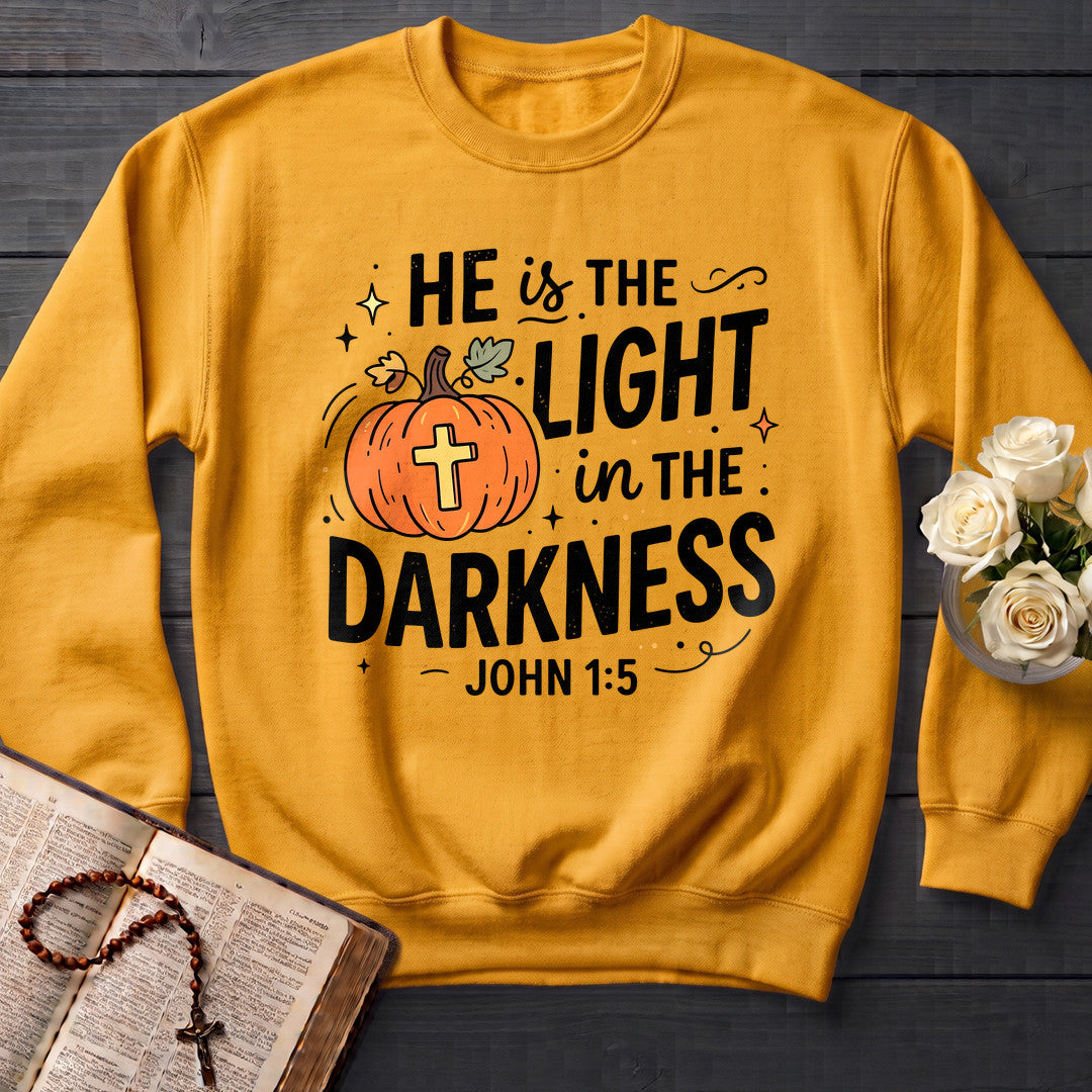 He Is The Light In The Darkness John 1.5 08