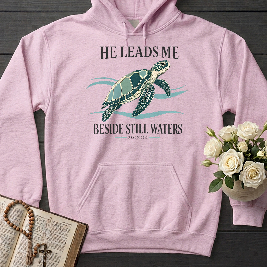 He Leads Me Beside Still Waters Psalm 23.2 03