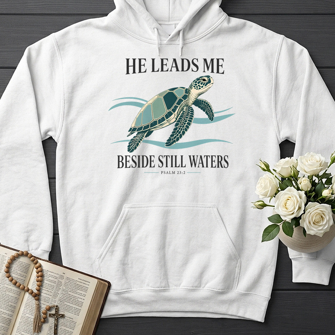 He Leads Me Beside Still Waters Psalm 23.2 03