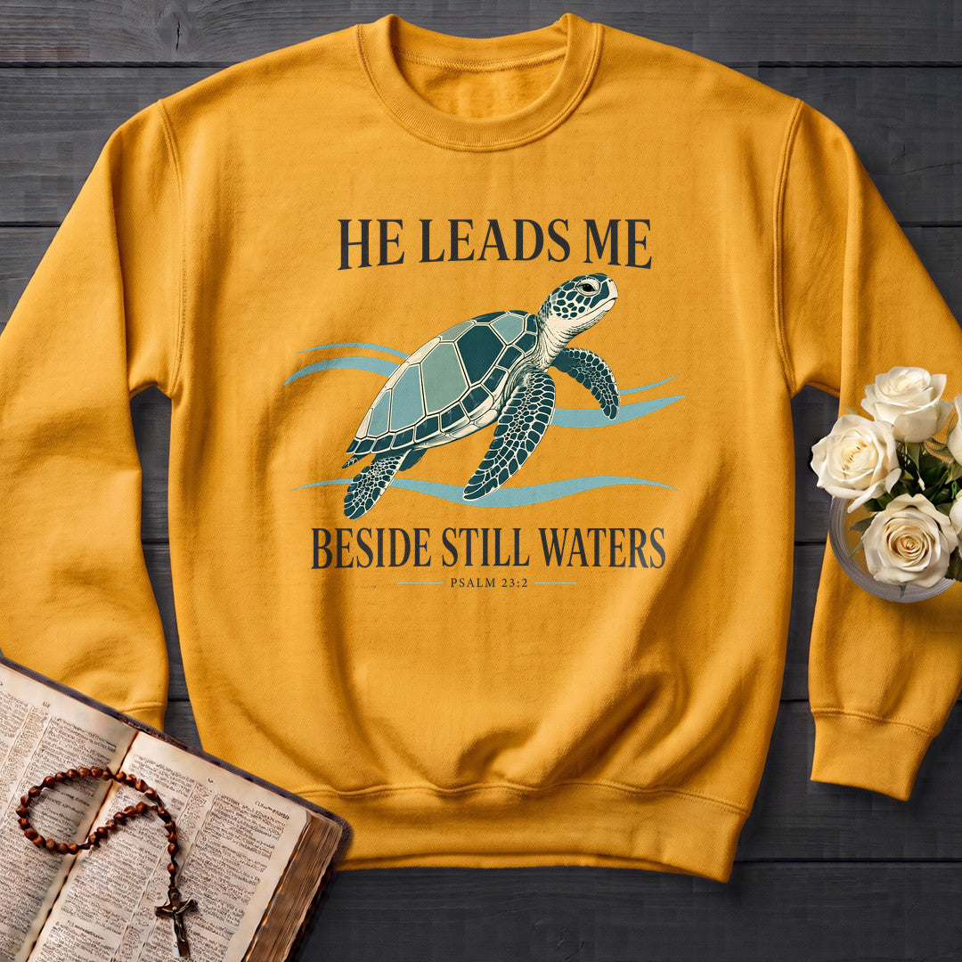 He Leads Me Beside Still Waters Psalm 23.2 03