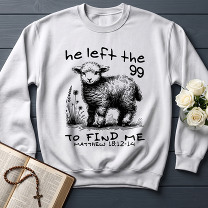 He Left The 99 To find Me matthew 18.12 -14 02