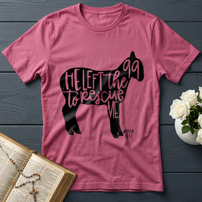 He Left The 99 To Rescue Me matthew 18.12 02