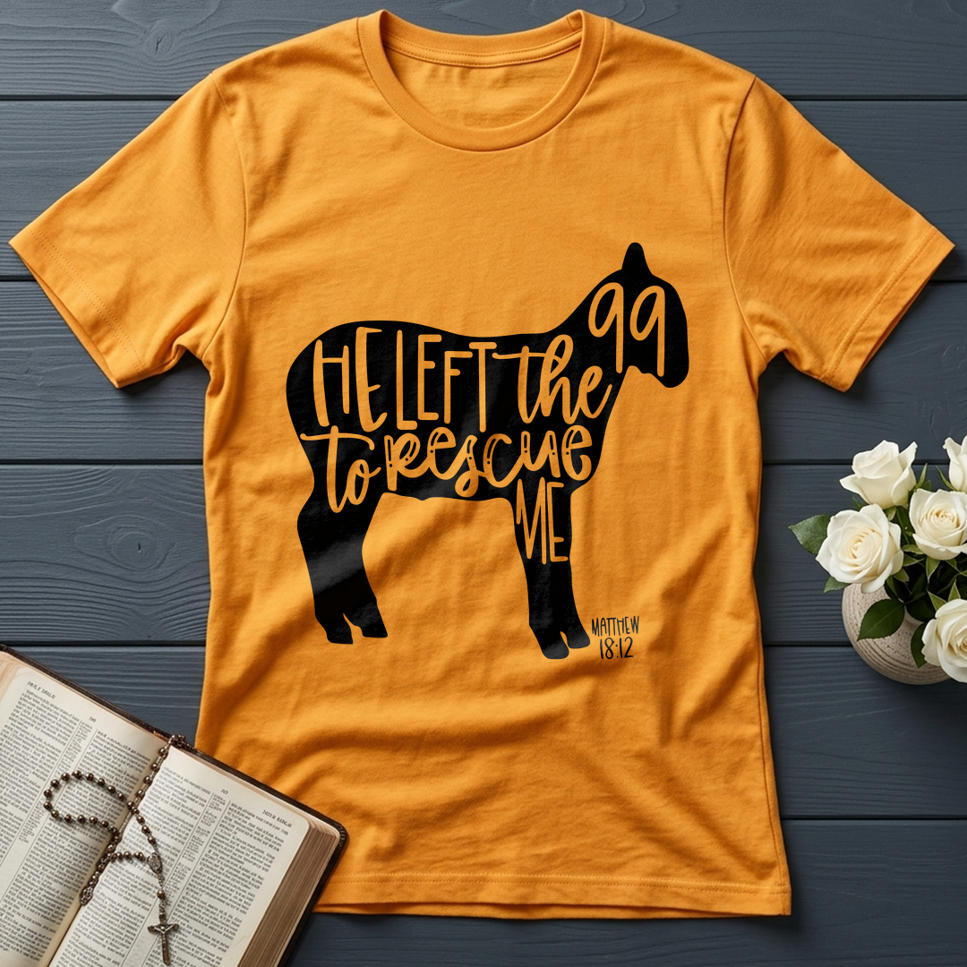 He Left The 99 To Rescue Me matthew 18.12 02
