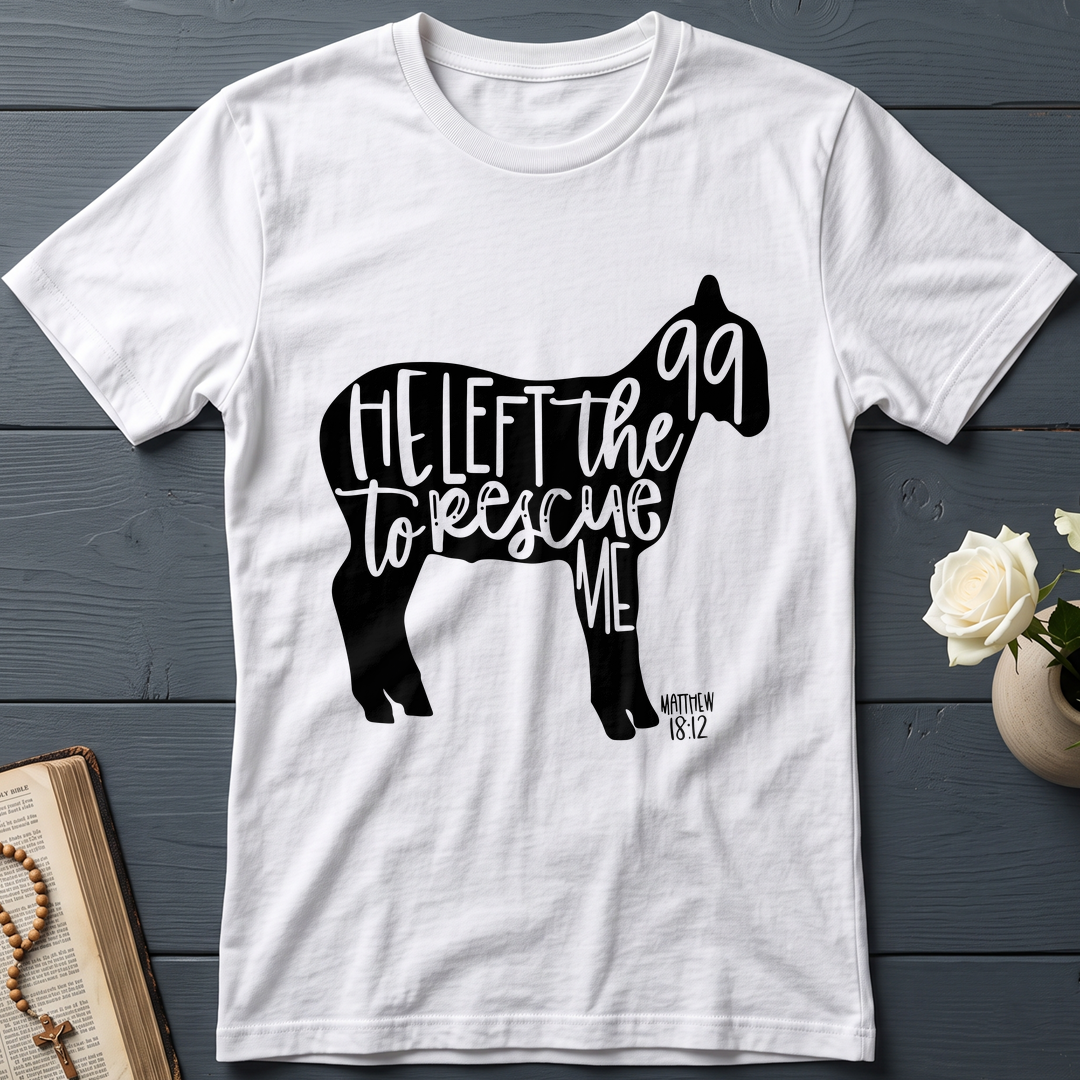He Left The 99 To Rescue Me matthew 18.12 02