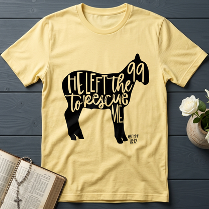 He Left The 99 To Rescue Me matthew 18.12 02