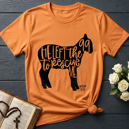 He Left The 99 To Rescue Me matthew 18.12 02
