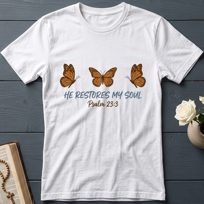 He Restores My Soul Psalm 23.3 05